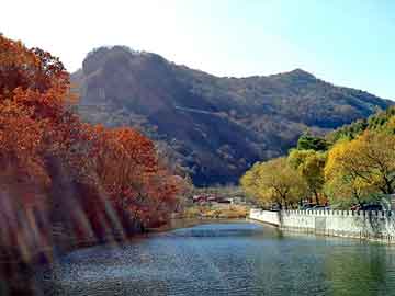 新澳门二四六天天彩，石景山黑帽seo